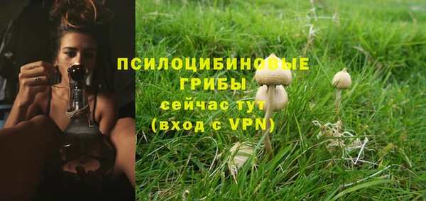спайс Алексеевка