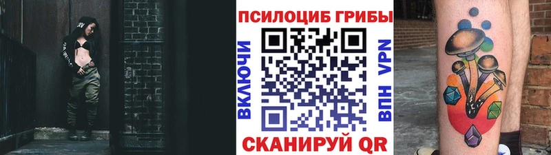 сколько стоит Медынь Псилоцибиновые грибы прущие грибы